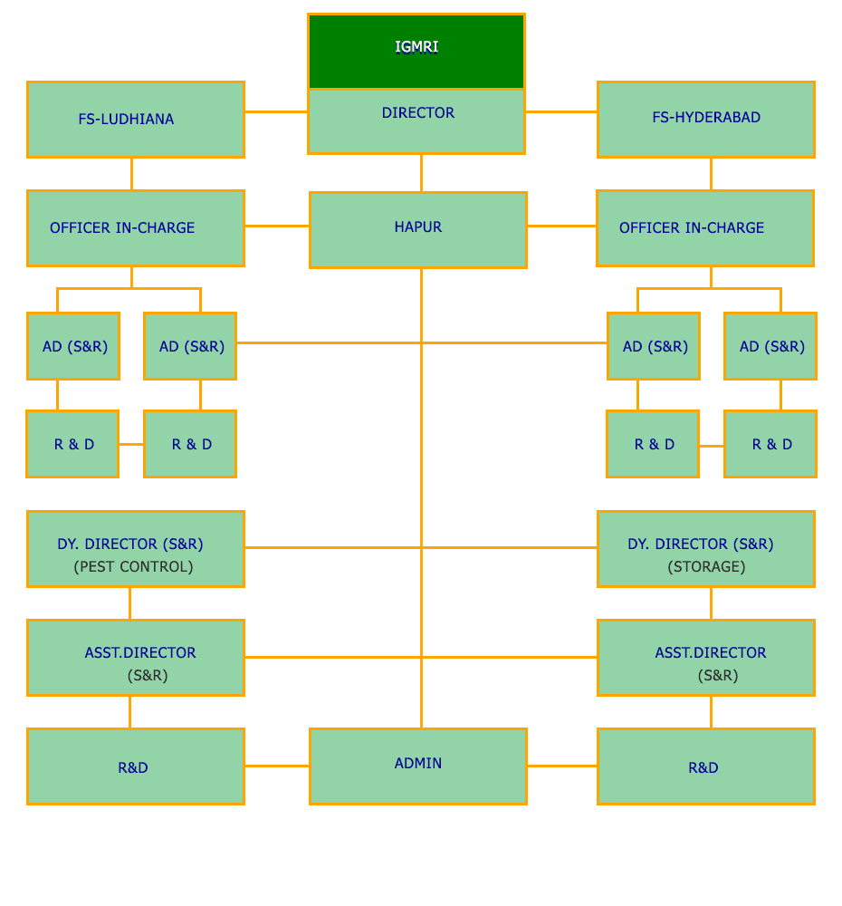 Organization chart.jpg